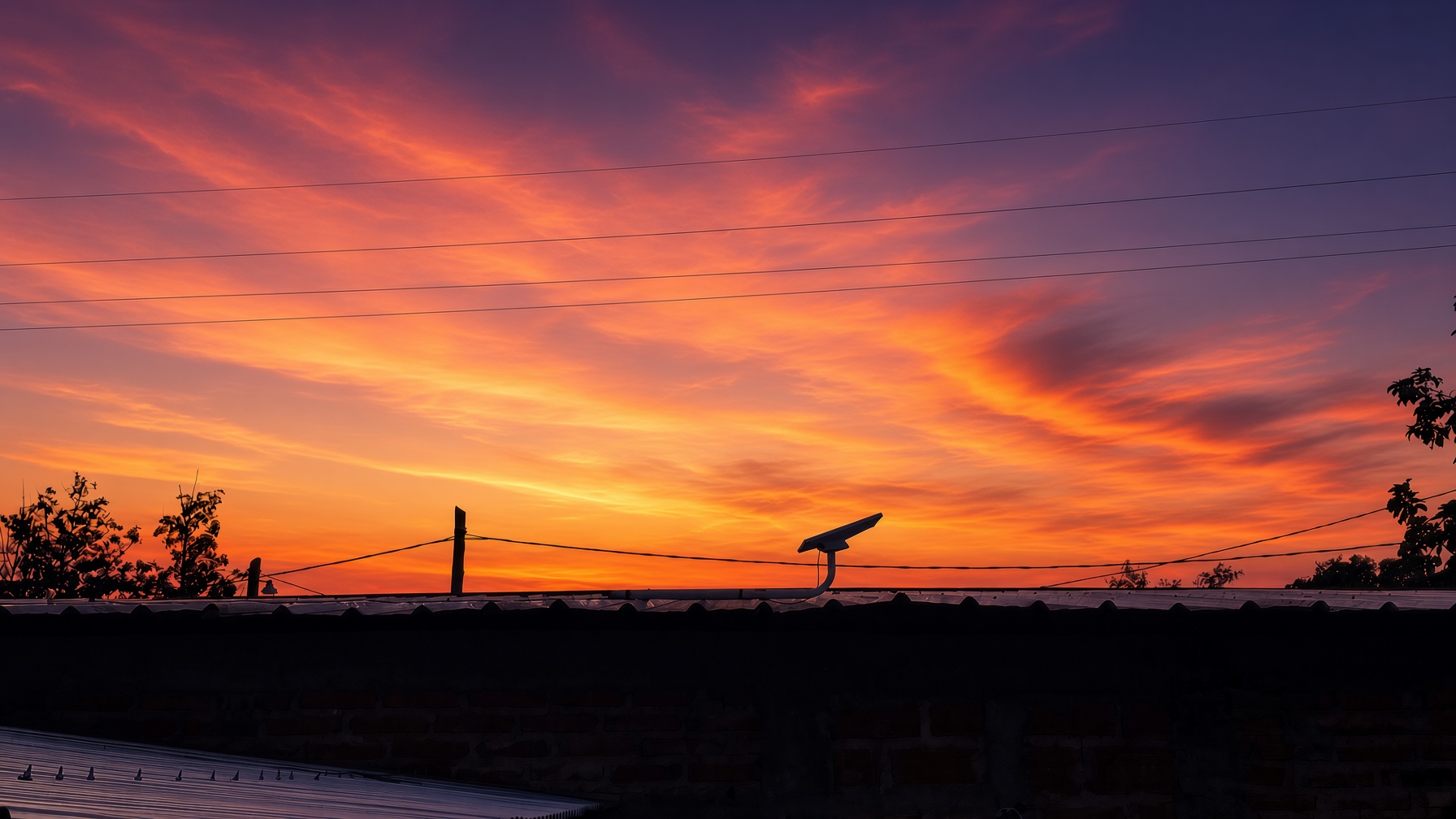 Antena Starlink al atardecer en el campo — El Argentino, Orán